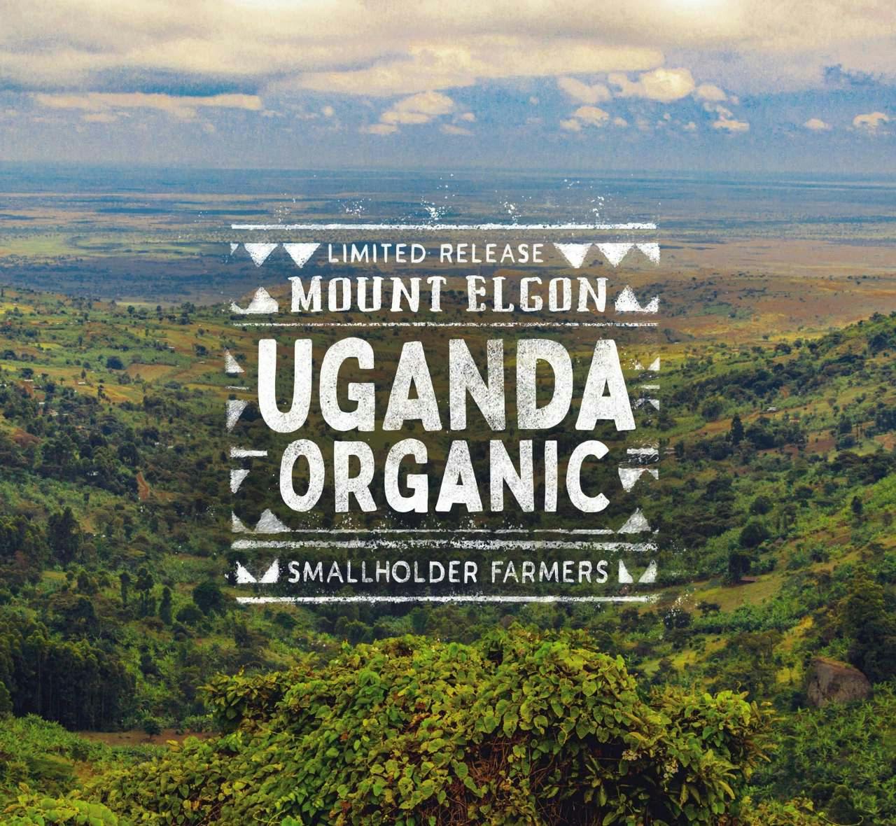 Limited Release Mount Elgon Uganda Organic Coffee with Greenery background